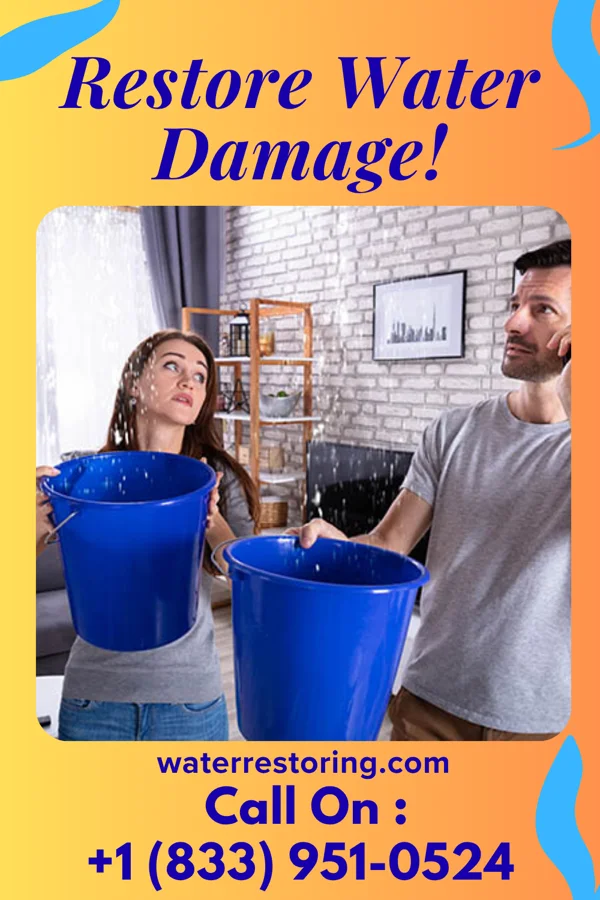 water restoration Eco Damage Recovery Experts South Browning